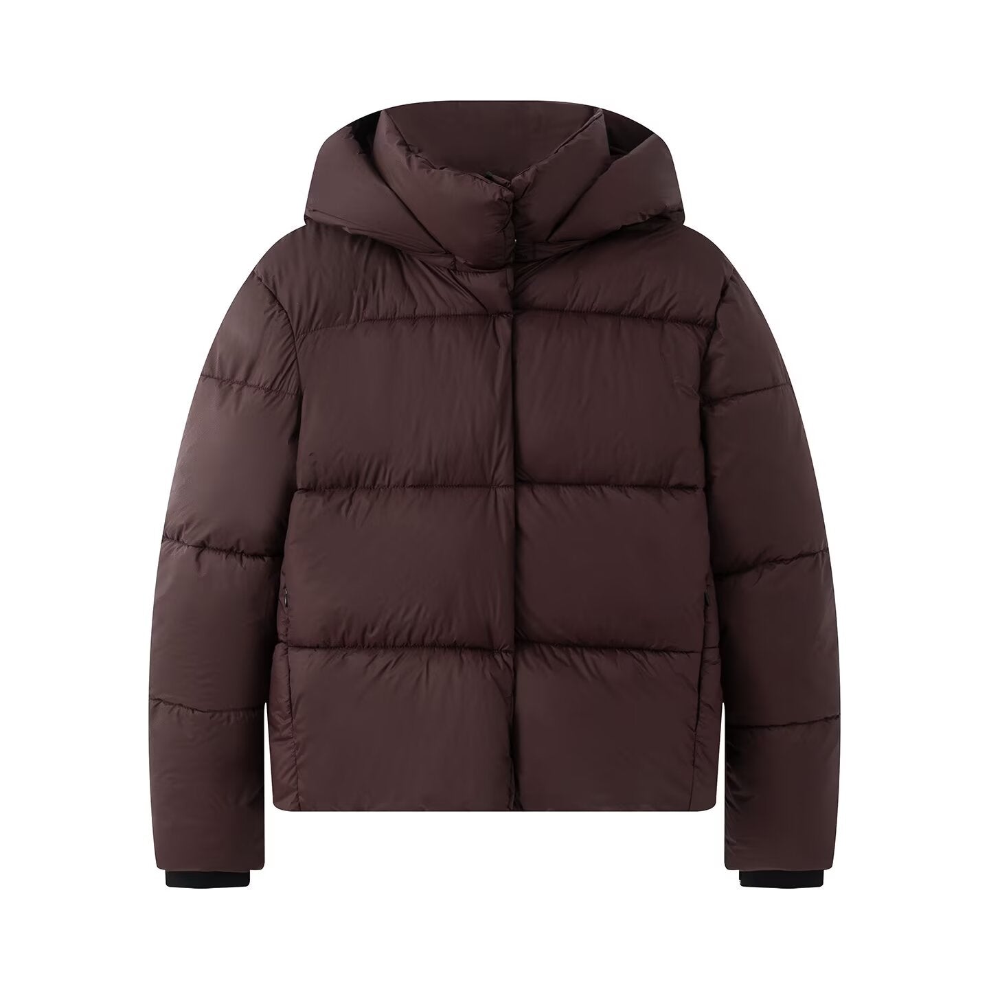 Women's stand collar hooded down cotton Coat