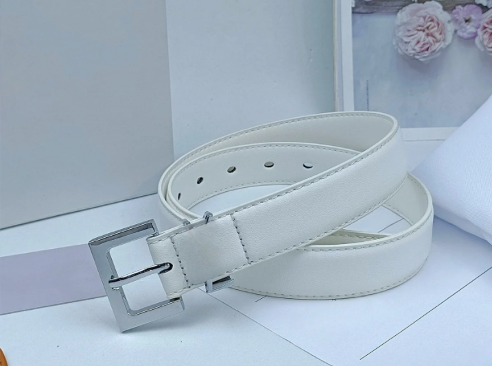 Women's 2025 New Casual Fashion Joker Multi-color Pin Buckle Design Women's Thin Belt Belt